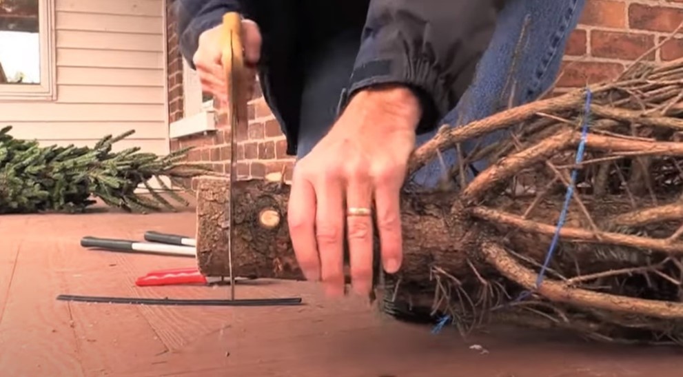 A man cuts the base off of a Christmas tree.